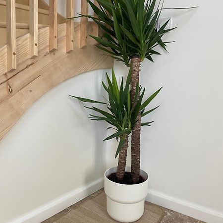 L Appartement Sete Magnifique Duplex Climatise 外观 照片